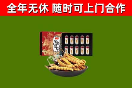 永济市烟酒回收冬虫夏草礼盒.jpg