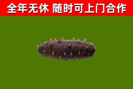 永济市烟酒回收干海参.jpg